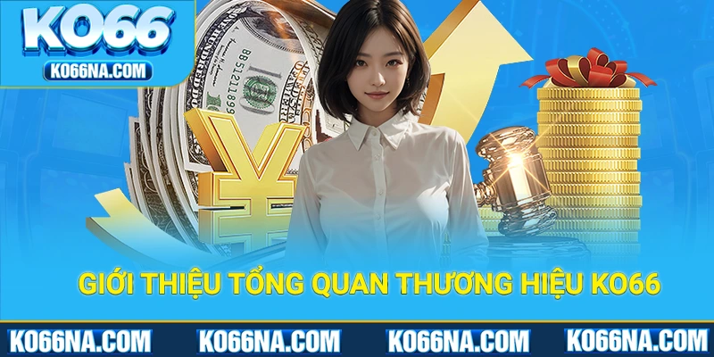 Giới thiệu tổng quan thương hiệu KO66